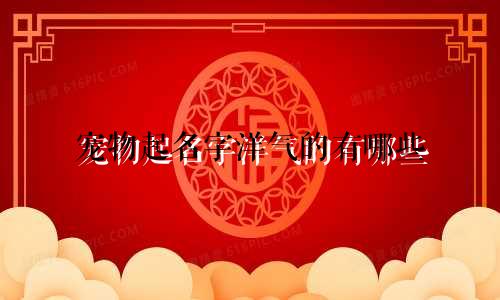 宠物起名字洋气的有哪些