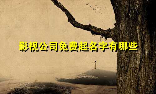 影视公司免费起名字有哪些