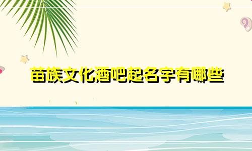 苗族文化酒吧起名字有哪些