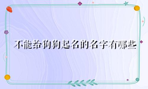 不能给狗狗起名的名字有哪些
