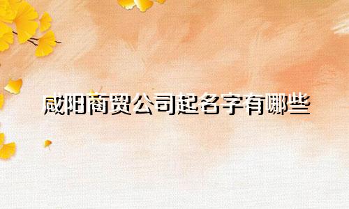 咸阳商贸公司起名字有哪些
