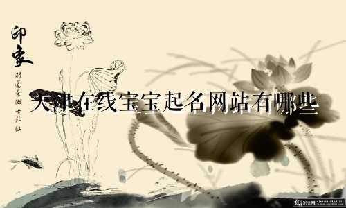 天津在线宝宝起名网站有哪些