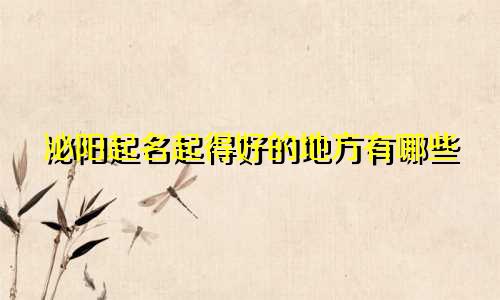 泌阳起名起得好的地方有哪些