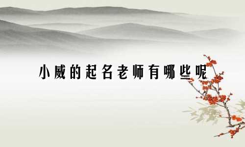 小威的起名老师有哪些呢
