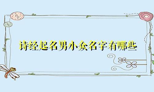 诗经起名男小众名字有哪些