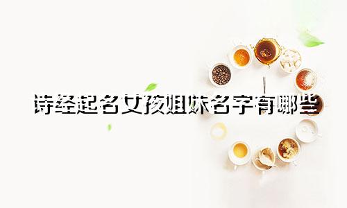 诗经起名女孩姐妹名字有哪些
