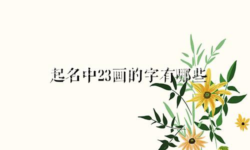 起名中23画的字有哪些