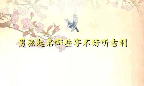 男孩起名哪些字不好听吉利