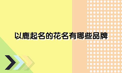 以鹿起名的花名有哪些品牌