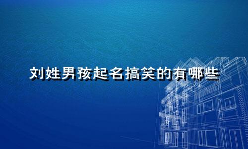 刘姓男孩起名搞笑的有哪些