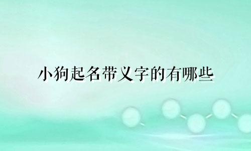 小狗起名带义字的有哪些