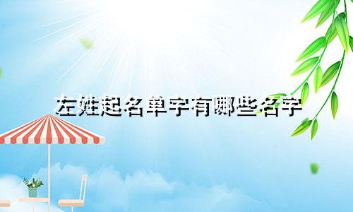 左姓起名单字有哪些名字