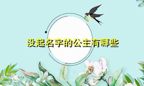没起名字的公主有哪些