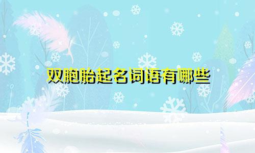 双胞胎起名词语有哪些