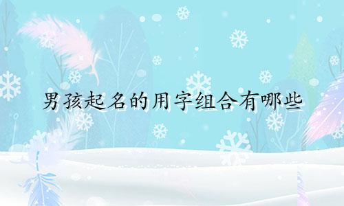 男孩起名的用字组合有哪些