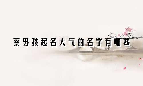 蔡男孩起名大气的名字有哪些