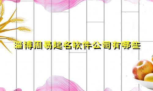 淄博周易起名软件公司有哪些