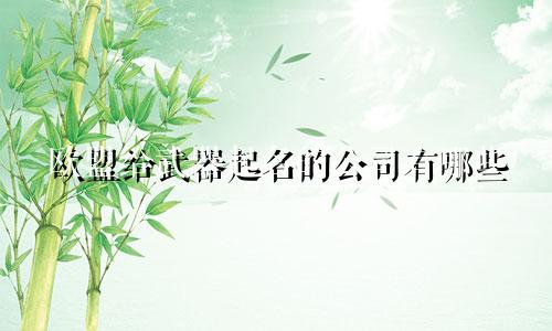 欧盟给武器起名的公司有哪些