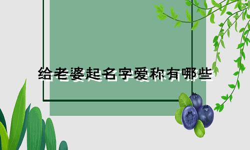 给老婆起名字爱称有哪些