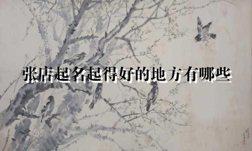 张店起名起得好的地方有哪些