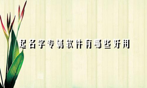 起名字专属软件有哪些好用
