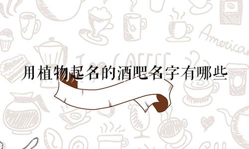 用植物起名的酒吧名字有哪些