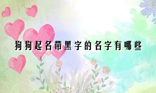 狗狗起名带黑字的名字有哪些