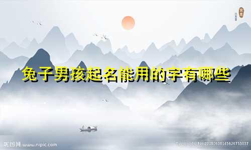 兔子男孩起名能用的字有哪些
