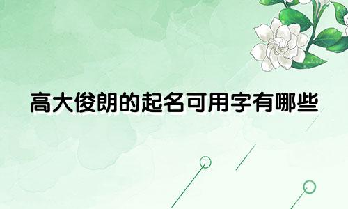 高大俊朗的起名可用字有哪些