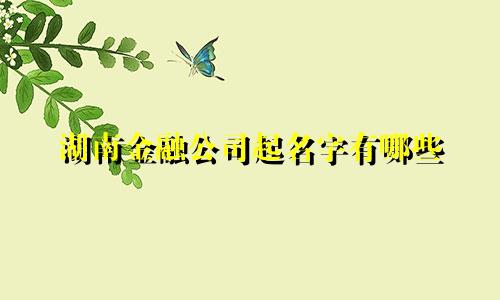 湖南金融公司起名字有哪些