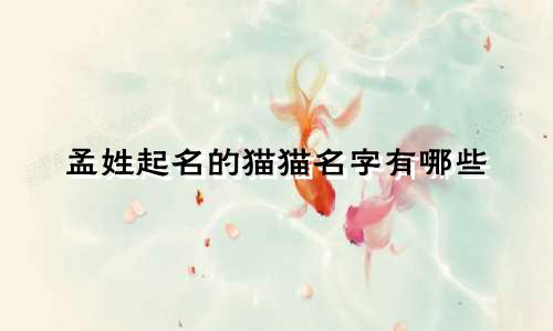 孟姓起名的猫猫名字有哪些
