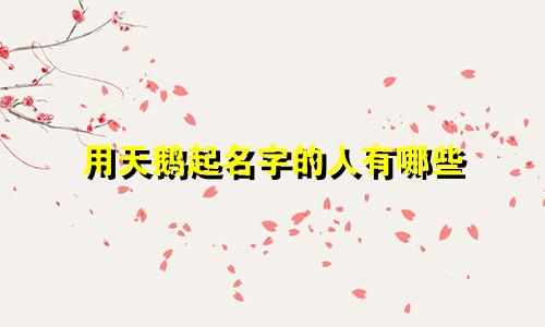 用天鹅起名字的人有哪些