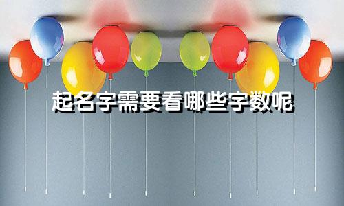 起名字需要看哪些字数呢