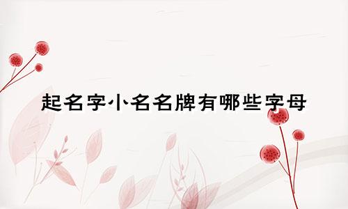 起名字小名名牌有哪些字母