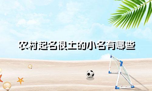 农村起名很土的小名有哪些