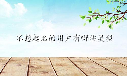 不想起名的用户有哪些类型