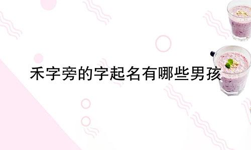 禾字旁的字起名有哪些男孩