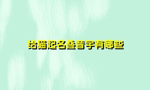 给猫起名叠音字有哪些