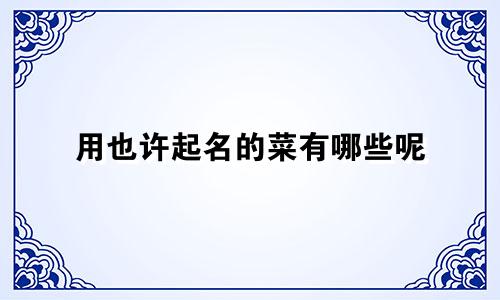 用也许起名的菜有哪些呢