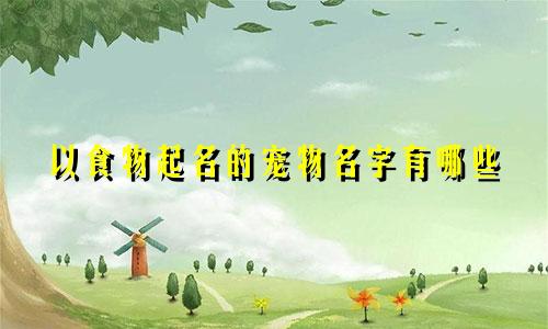 以食物起名的宠物名字有哪些