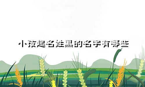 小孩起名姓黑的名字有哪些