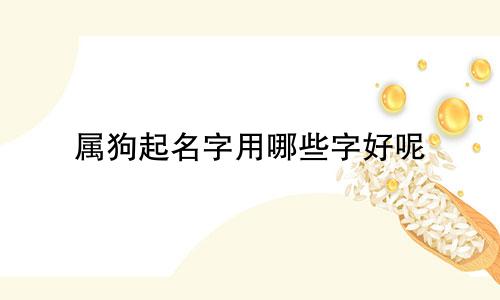 属狗起名字用哪些字好呢