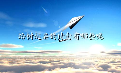 给树起名的诗句有哪些呢