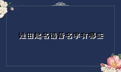 姓田起名谐音名字有哪些
