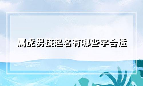 属虎男孩起名有哪些字合适