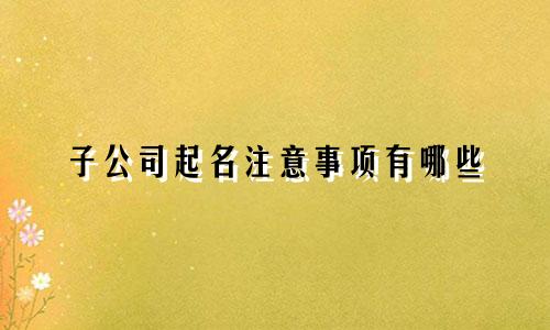 子公司起名注意事项有哪些