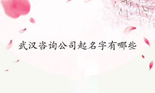 武汉咨询公司起名字有哪些
