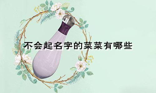 不会起名字的菜菜有哪些