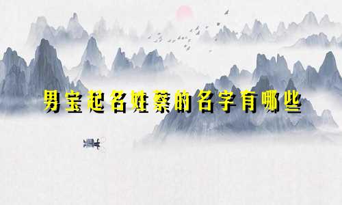 男宝起名姓蔡的名字有哪些