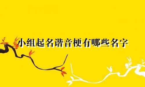 小组起名谐音梗有哪些名字